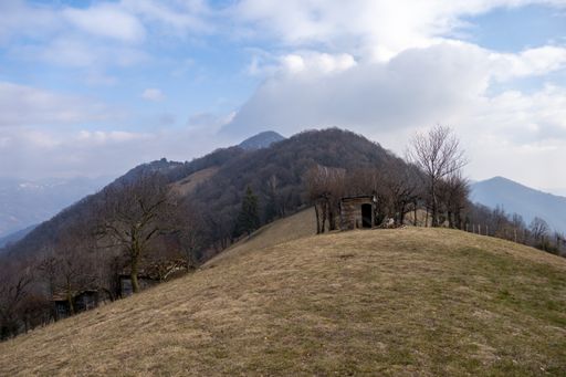 An old wooden shed at the top of a hill surrounded by bare trees with mountains in the background