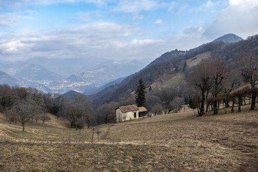 A barn on a hill covered in the grass and bare trees under a blue cloudy sky in the countryside