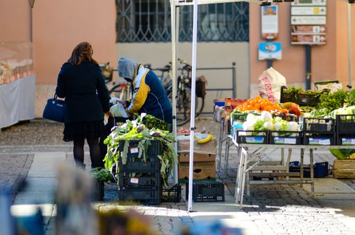 Lombardy, Cremona, Italy - March 17th 2021 - Flower market vendors selling in the street during lockdown and red area zone to local customers.