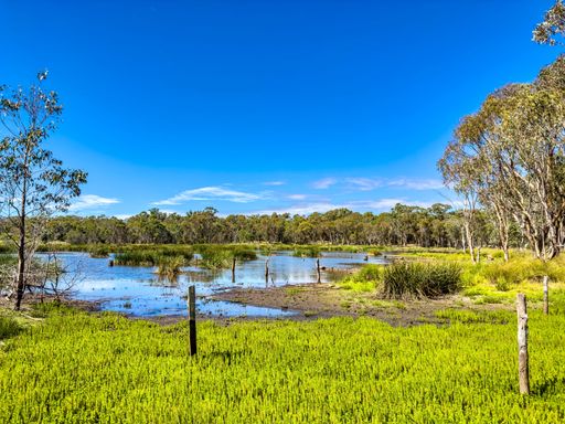 A Beautiful Landscape of Swamp land with a blue sky and bushland in New South Wales, Australia
