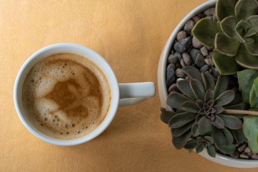 A top view of an echeveria on a wooden table with coffee