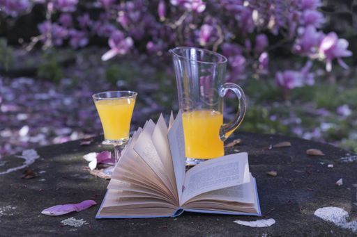 A closeup of a book that is open with juice drinks on a concrete table in the garden