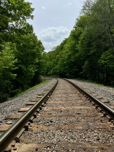 A scenic landscape of railroad tracks stretching into the horizon, with lush green trees in the background and a bright blue sky above