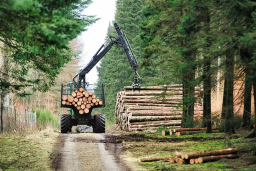 A heavy equipment loading huge logs in a trailer