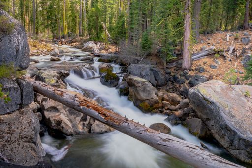 A  Flowing waterfall in Northern California during springtime meanders through a lush and verdant forest