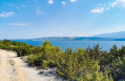 A scenic view of trees on a peaceful hilly terrain near the sea