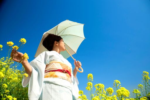 Japanese woman wearing kimono enjoys the Spring season in beautiful Yellow Flowers or Nanohana Blooming in Japan.