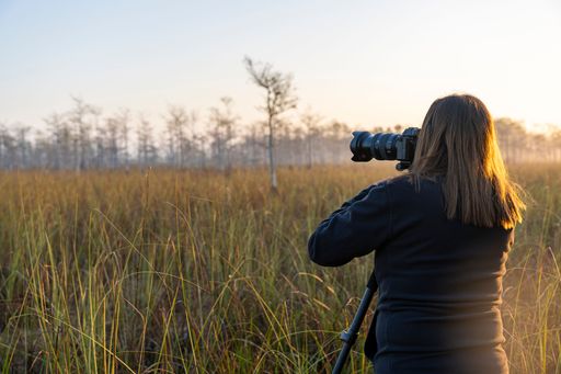 A young woman is taking photos of the scenic marshland with her digital camera.