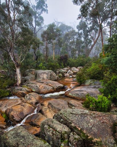 A stream meandering through a forest surrounded by rocks. Brindabella National Park, Australia.