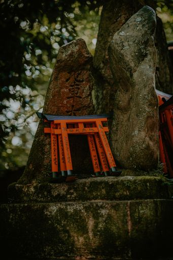 A vertical shot of the iconic Fushimi Inari Shrine located in Kyoto, Japan