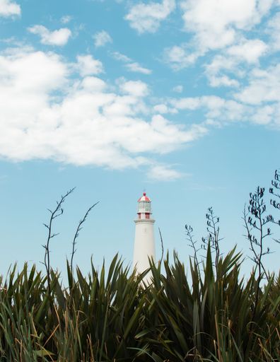 A lighthouse standing against a blue sky visible through the lush grass