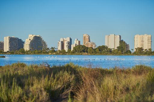 A scenic shot of flamingoes and other birds perching on a lake in front of the city buildings on a blue sky background