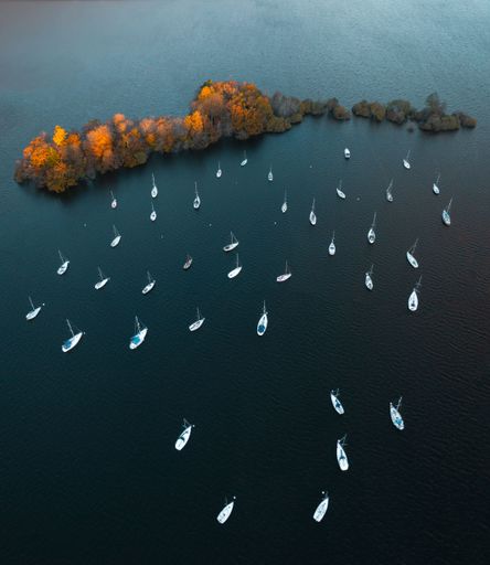 Aerial view of a group of boats docked on a tranquil lake with an island visible on the horizon