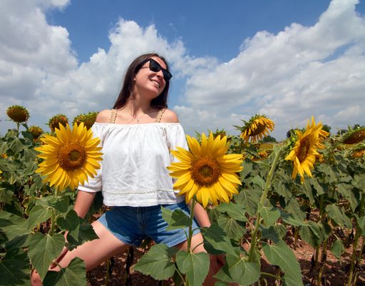 A cheerful beautiful Turkish woman in sunglasses posing on a sunflower field