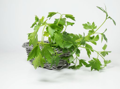 A basket filled with lush parsley isolated on a white background