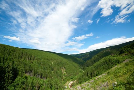 An aerial view of a picturesque valley surrounded by lush green forest, Carpathian mountains