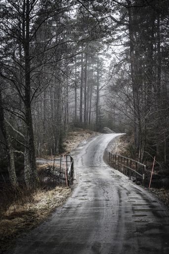A vertical shot of an empty ridge and road though a  forest