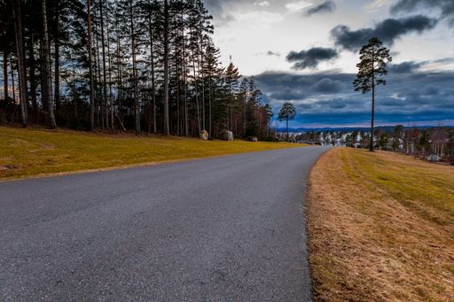 a winding asphalt road lined with grass and leading up a lush hillside dotted with pine trees in Larvik, Norway