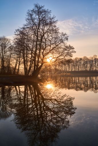 A vertical shot of Lake Masuria surrounded by trees during the sunrise in Poland