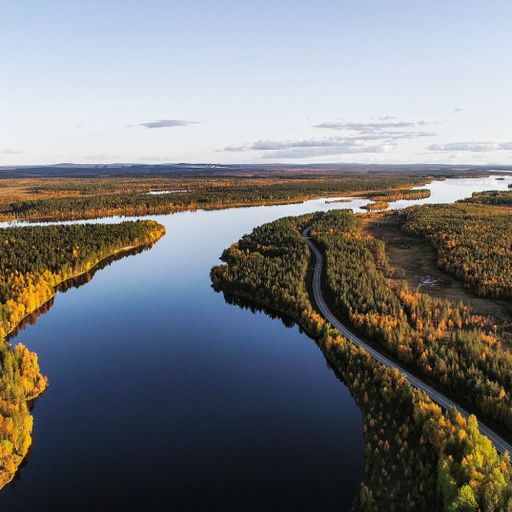 Aerial drone view of calm lake Almansuvanto river, full of foliage forest and fall colors, golden hour, sunny autumn evening, in Sodankyla, Lapland