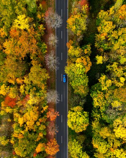 A top view of a car driving through the asphalt highway surrounded by dense trees in autumnal colors
