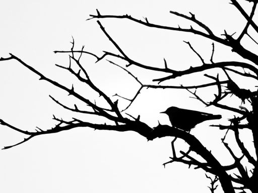 A silhouette of a bird perched on a tree with prickly branches