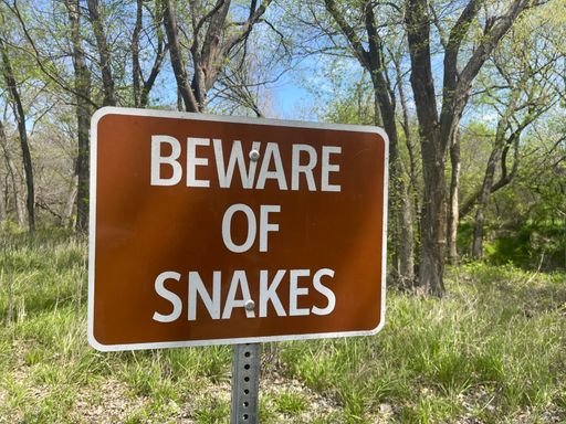 A rectangular sign featuring "BEWARE OF SNAKES" with a forest on the background