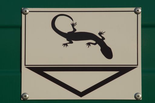 Note on a hole in the noise barrier: transition for lizards! Sign on a wall at the Main-Weser-Bahn in Frankfurt, Germany.
