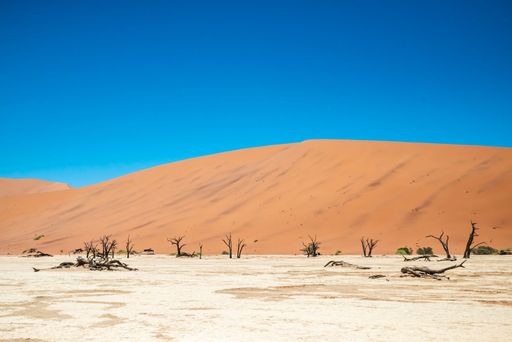 A minimalistic view of a sandy desert on the background of the bright blue sky on a sunny day