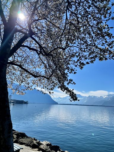 A vertical shot of the Geneva lake in Clarens, Montreux, Switzerland