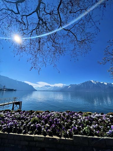 A vertical shot of the Geneva lake in Clarens, Montreux, Switzerland