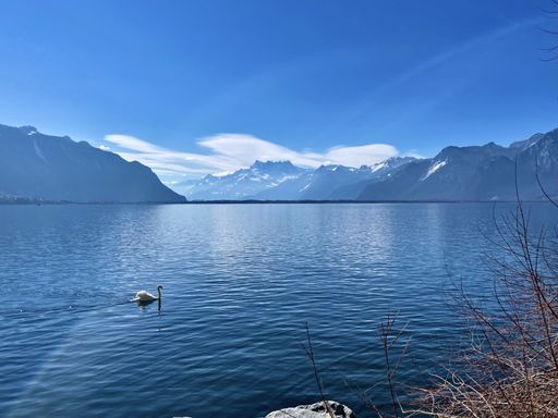 A closeup shot of the Geneva lake in Clarens, Montreux, Switzerland