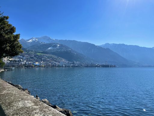 A closeup shot of the Geneva lake in Clarens, Montreux, Switzerland