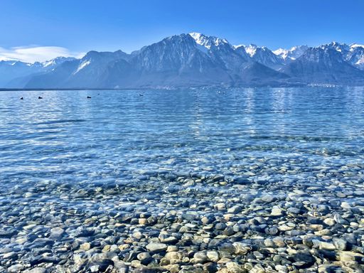 A closeup shot of the Geneva lake in Clarens, Montreux, Switzerland
