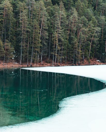 A frozen lake surrounded by a forest with trees reflecting on the water under the sunlight