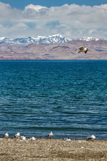 A scenic view of Bangong Lake in Ritu County, Ali Prefecture, Tibet, China