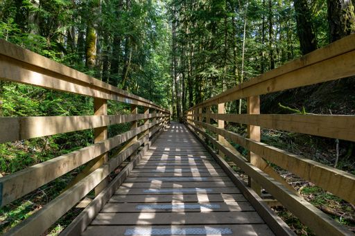 A wooden bridge in a forest environment, providing an elegant pathway to its refreshing source of water