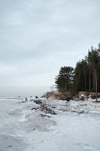 A vertical shot of a frozen lake in the forest in winter