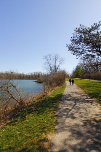 A back view of two people walking on the pathway surrounded by trees under the blue sky in a park