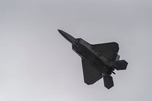 A small airplane soars across a muted gray sky above the ground, providing a majestic view of the surrounding landscape