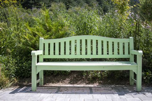 A wooden bench on a green park on a sunny day in summer