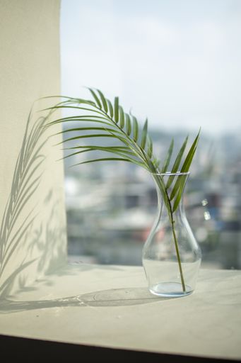 A vertical shot of the grass in a vase on a windowsill under the sunlight with a blurry background