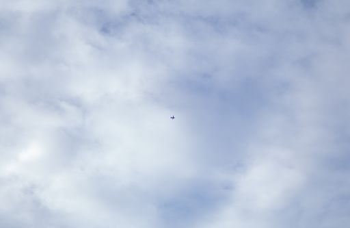 A low angle shot of a bird flying in the daylight sky