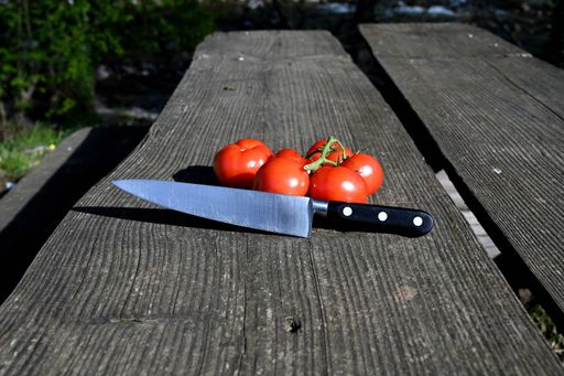 fresh vegetables photographed in a natural environment
