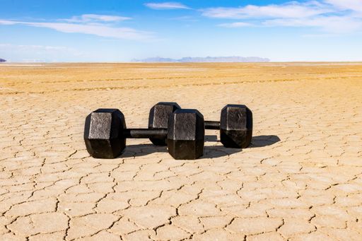A pair of metal dumbbells sitting on the arid, cracked ground. Bonneville Salt Flats, Utah.