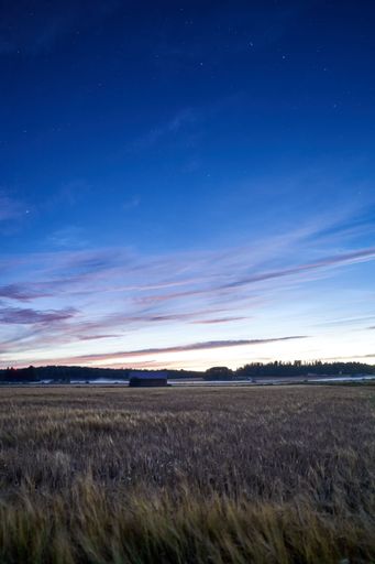 A tranquil night sky with a starlit sky illuminated above a sweeping grassy field