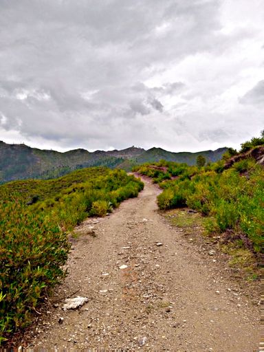 A narrow pathway passing through a green landscape; picturesque hills and gloomy sky in the background