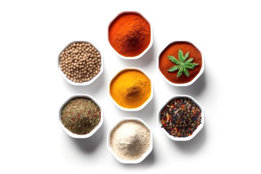 A row of pristine white bowls are arranged on a white background, each filled with an assortment of herbs and spices