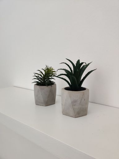 A white shelf holding two potted plants, with greenery and soil visible in the pots.