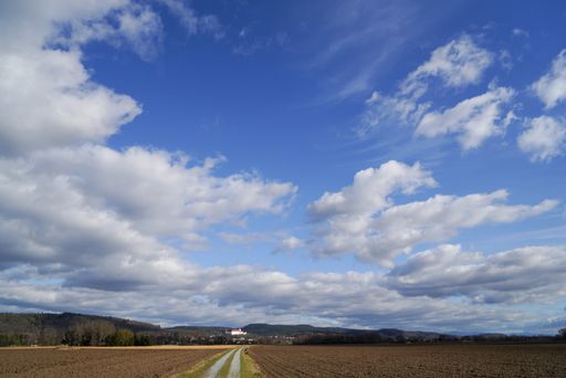 A beautiful shot of agricultural fields with a road in the middle under the cloudy blue sky